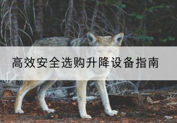 托里升降货梯厂家推荐-*安全选购升降设备指南