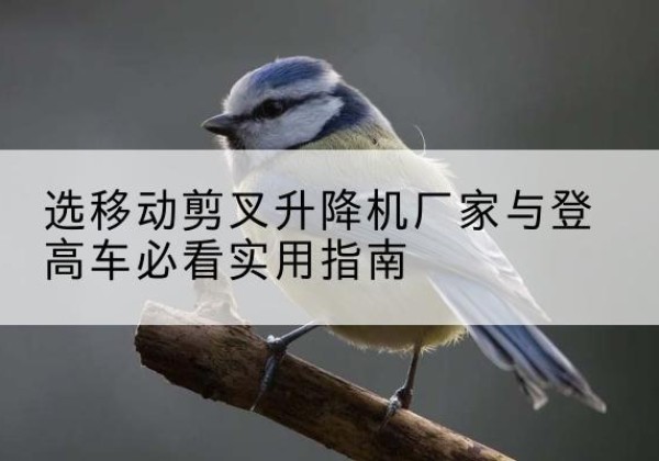 托里电动升降机厂家-选移动剪叉升降机厂家与登高车必看实用指南