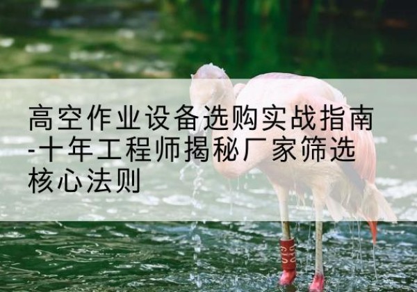 托里剪叉式升降机厂家-高空作业设备选购实战指南-十年工程师揭秘厂家筛选核心法则